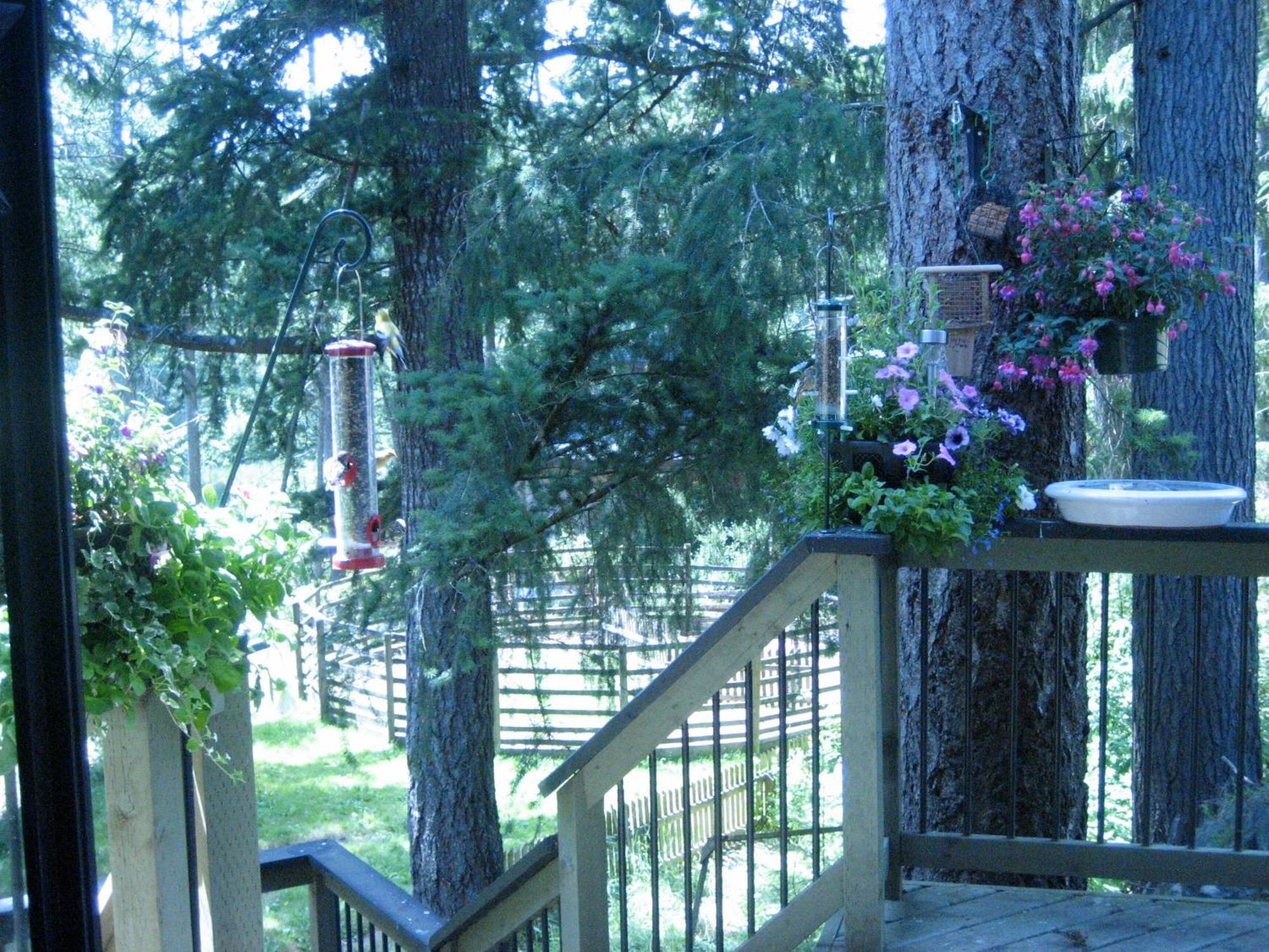 Misty Meadows B&B แลงฟอร์ด ภายนอก รูปภาพ