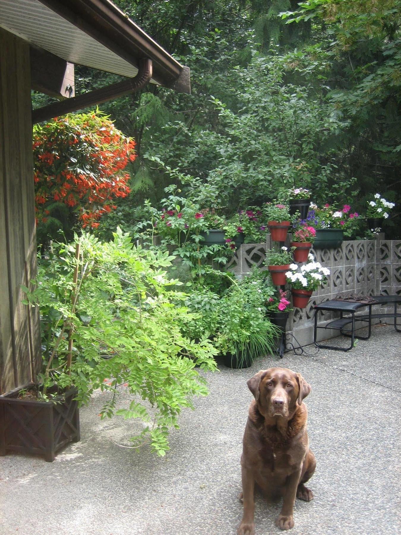 Misty Meadows B&B แลงฟอร์ด ภายนอก รูปภาพ