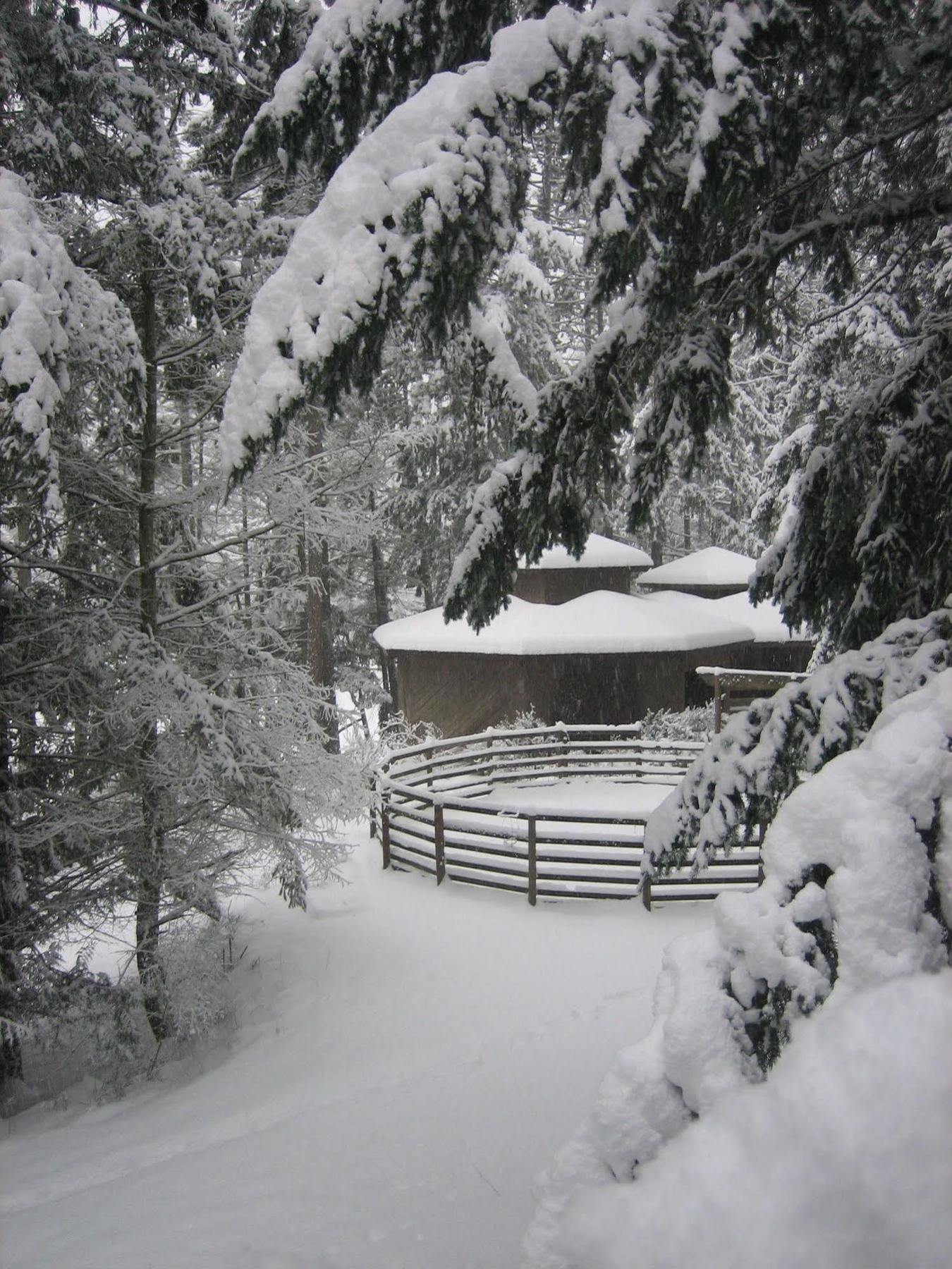 Misty Meadows B&B แลงฟอร์ด ภายนอก รูปภาพ